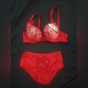 Elegant Red Lace Bra Set